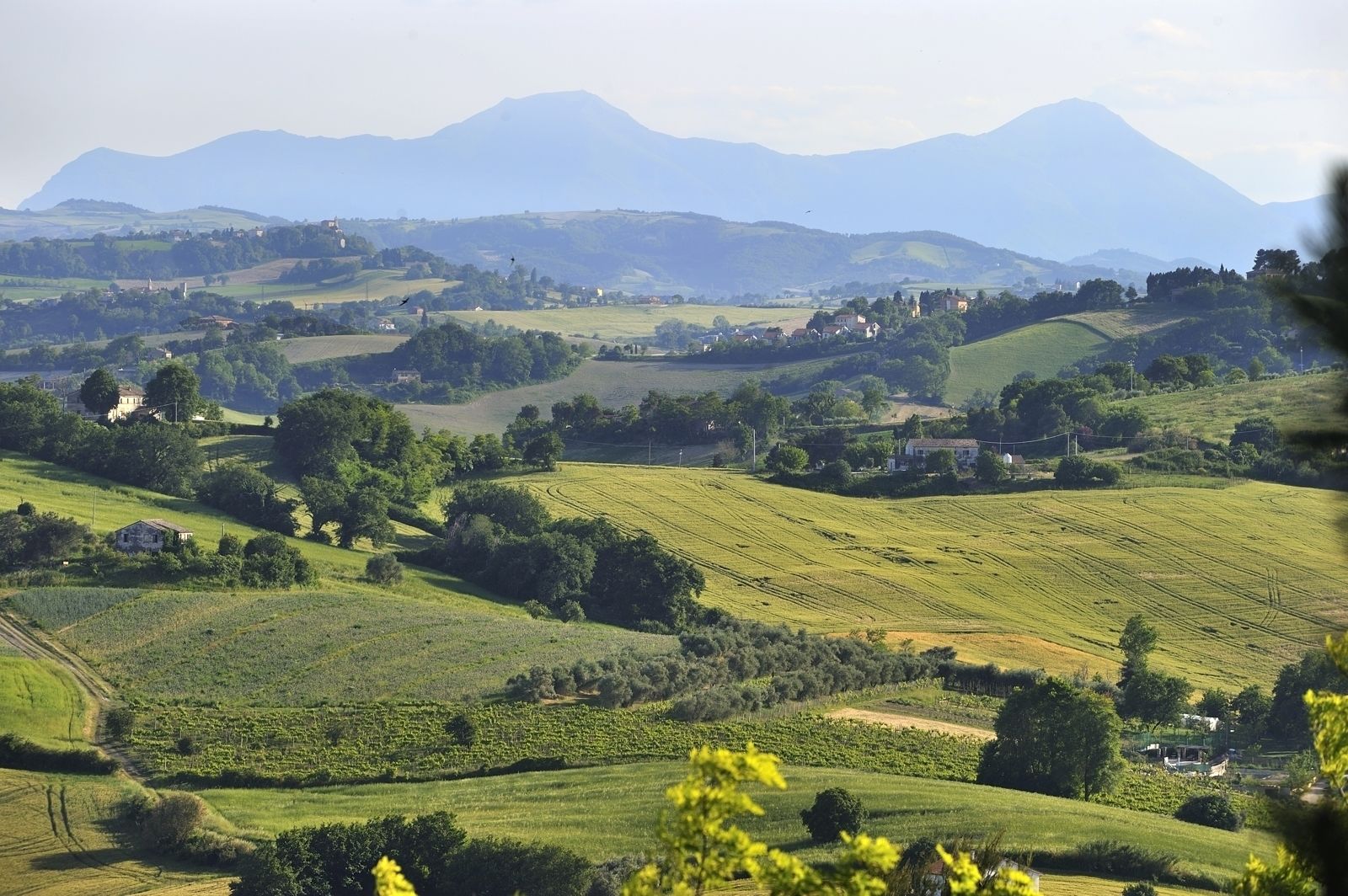 A rural landscape with rolling hills, scattered houses, and a mountain in the background.