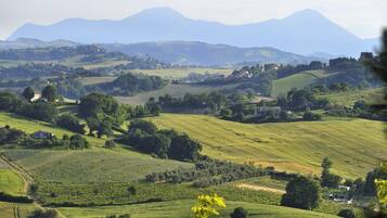 A rural landscape with rolling hills, scattered houses, and a mountain in the background.