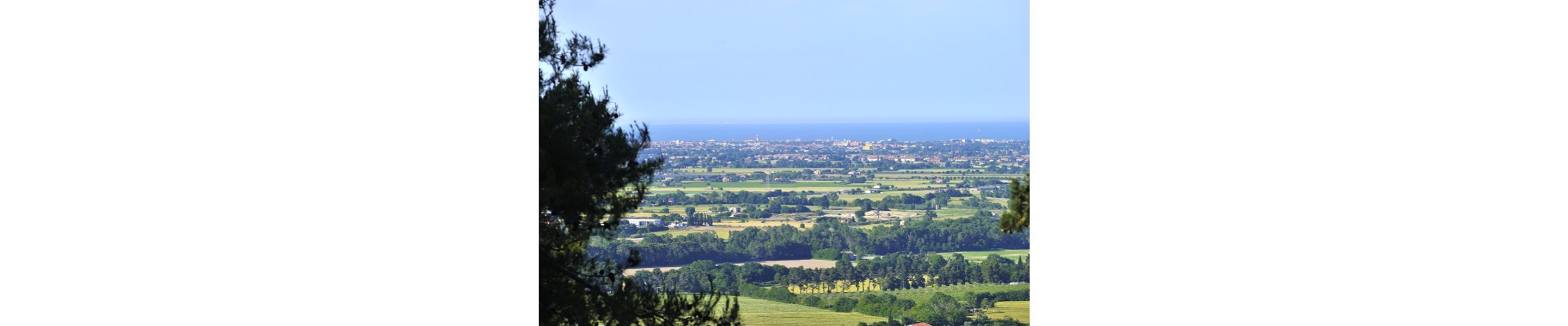 A panoramic view of a coastal town with a mix of residential and commercial buildings, surrounded by green fields and a clear blue sky.