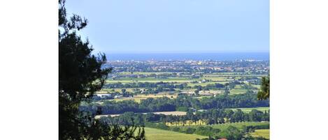 A panoramic view of a coastal town with a mix of residential and commercial buildings, surrounded by green fields and a clear blue sky.