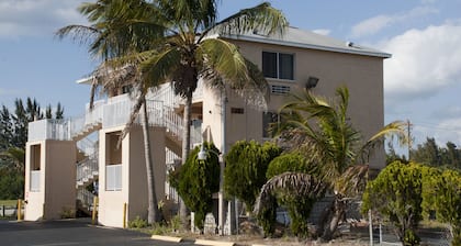 Tahitian Inn Motel - Near Jungle Golf Ft. Myers