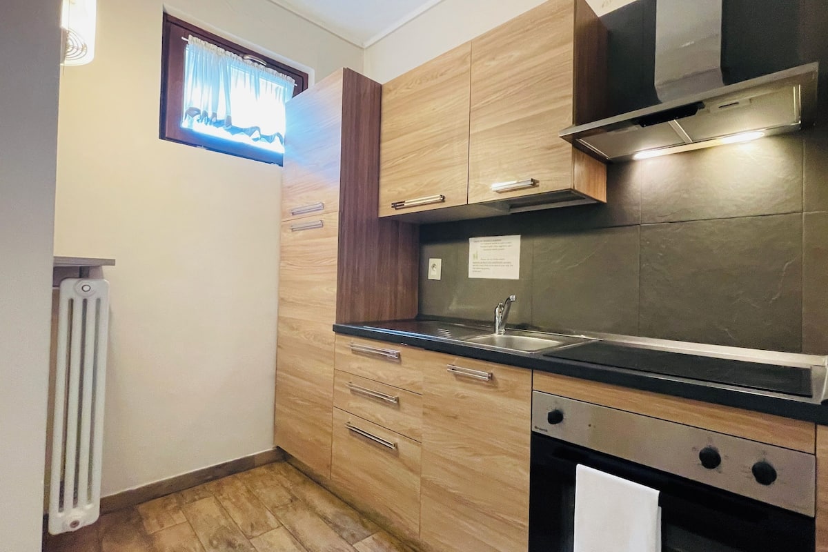 classic apartment, 1 bedroom (5 people) | private kitchen | fridge, microwave, oven, stovetop