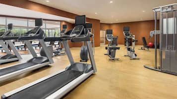 A gym with treadmills, elliptical machines, and exercise balls.