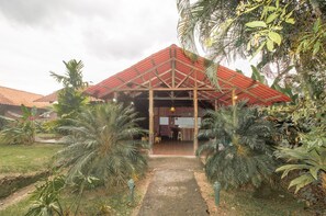 Triple Room, Terrace | Blackout drapes, free WiFi