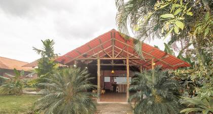 Arenal Green