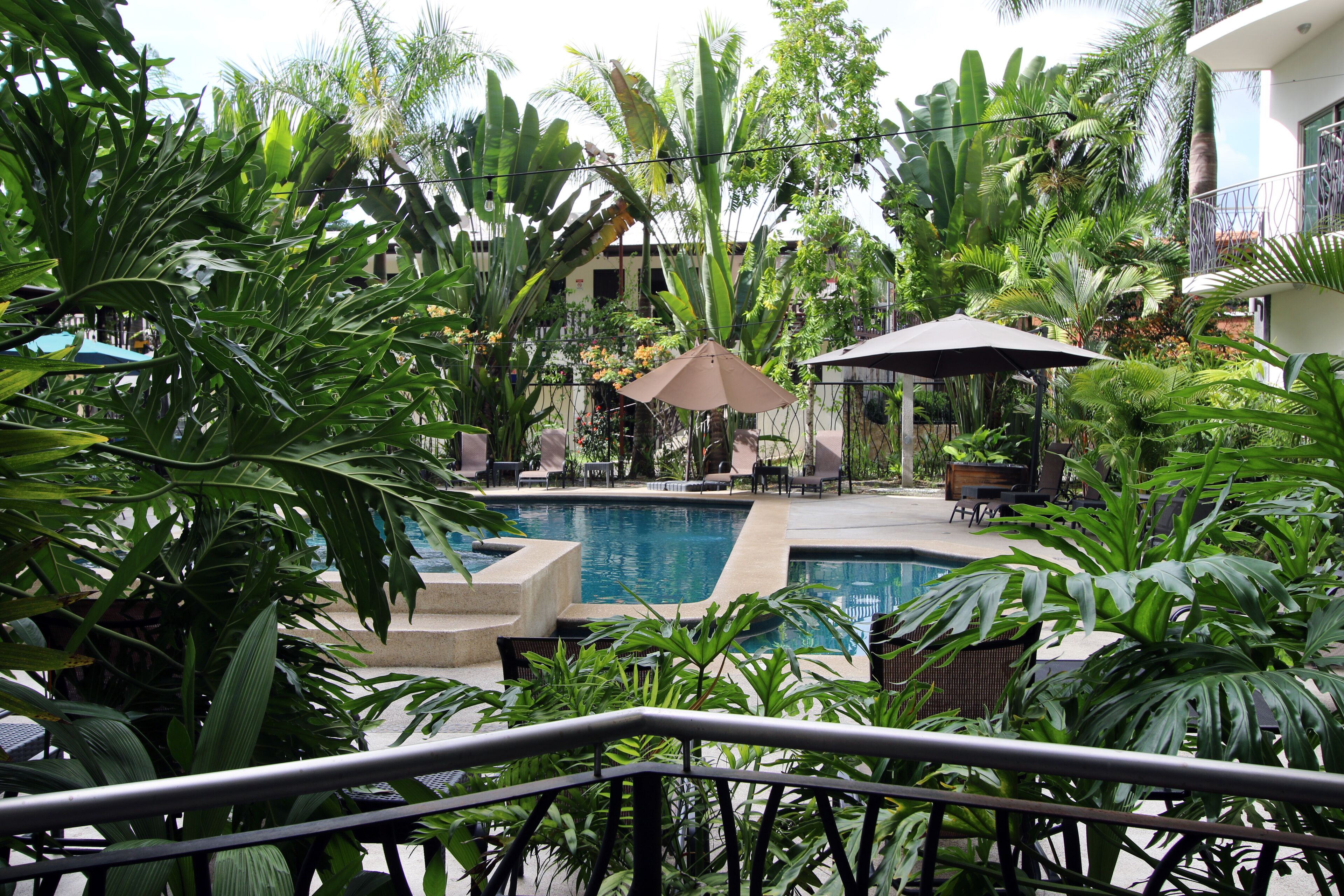 A pool area with lounge chairs and umbrellas, surrounded by lush tropical plants.