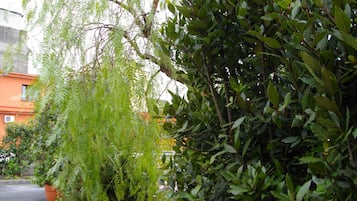 Jardín