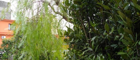 花園