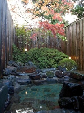 Property grounds - Hotel Natural Garden Nikko (Nikko)