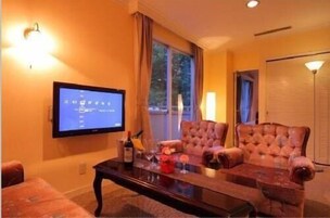 テレビ