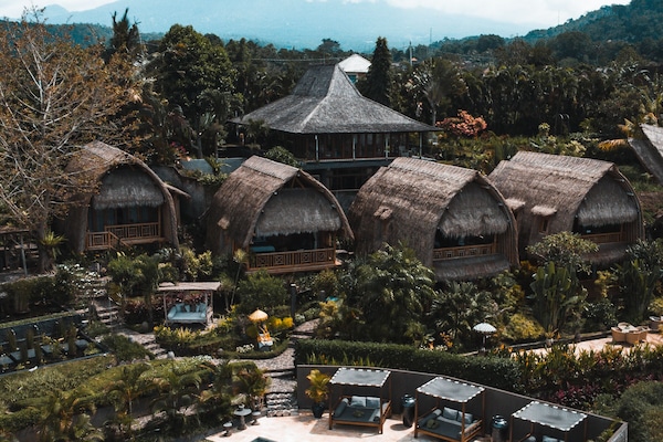 Outdoor pool, pool umbrellas, pool loungers