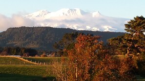 Room - Clyde Accommodation (Ohakune)