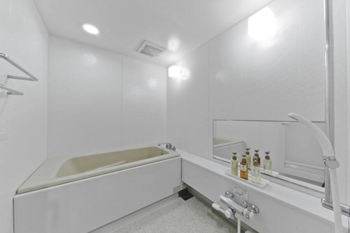 separate bathtub and shower, hair dryer, slippers, electronic bidet