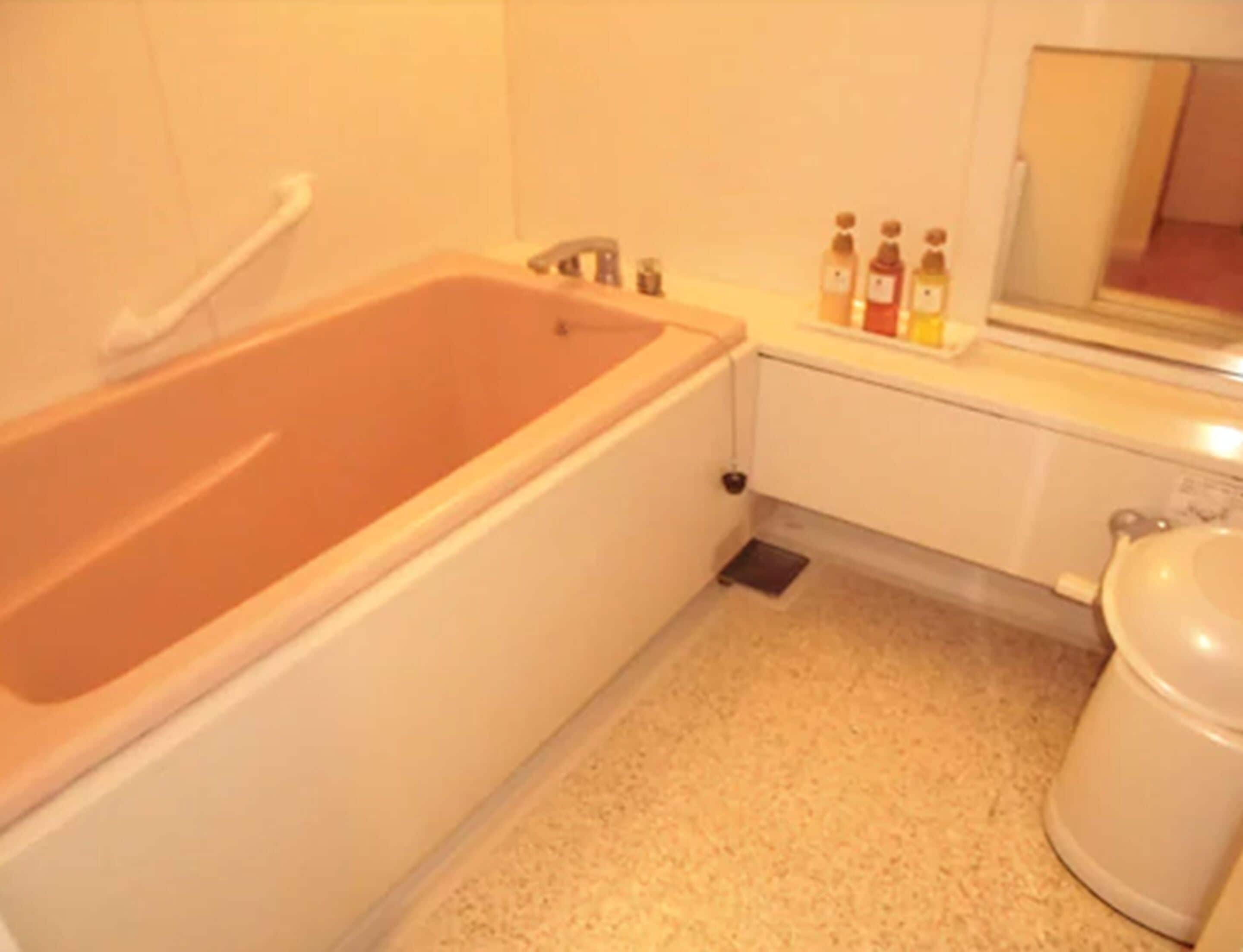 separate bathtub and shower, hair dryer, slippers, electronic bidet