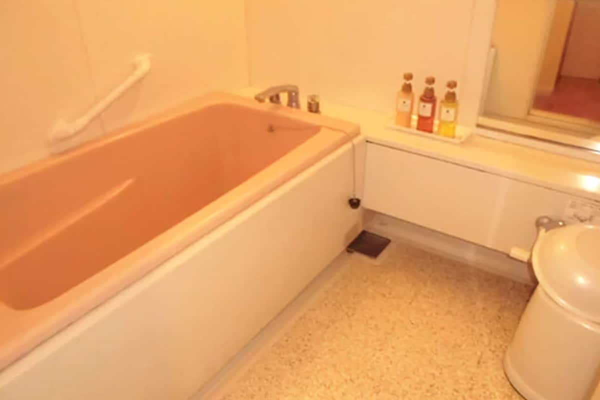 separate bathtub and shower, hair dryer, slippers, electronic bidet
