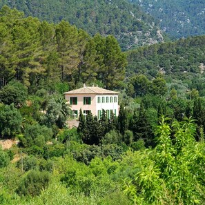 Une maison de plain-pied avec un toit plat, entourée d’une végétation luxuriante et avec des collines en arrière-plan.