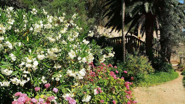 Un jardín con piscina, un sendero y vistas a las colinas circundantes.