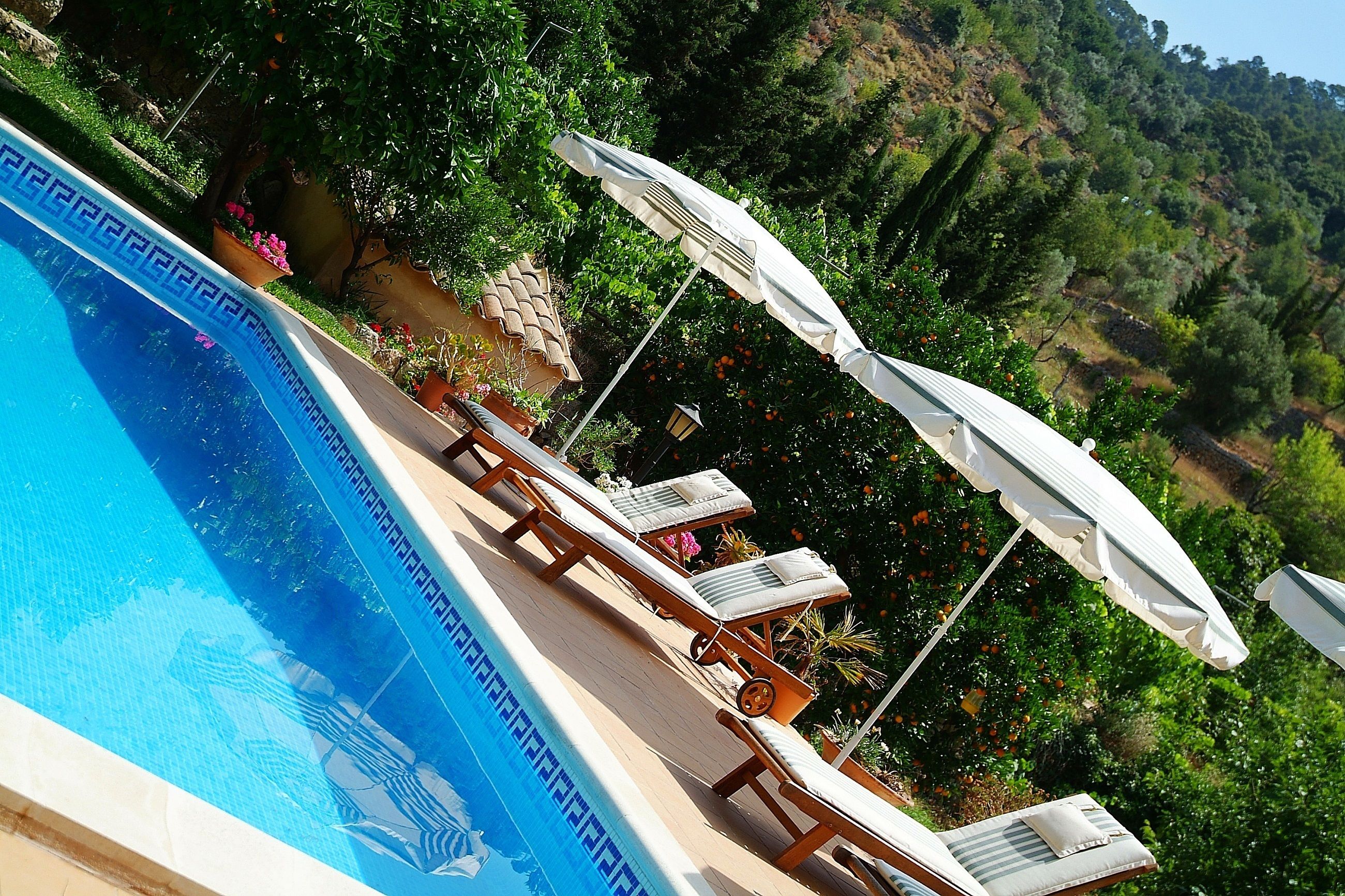 Una piscina con sillas de descanso y sombrillas, rodeada de vegetación y colinas.