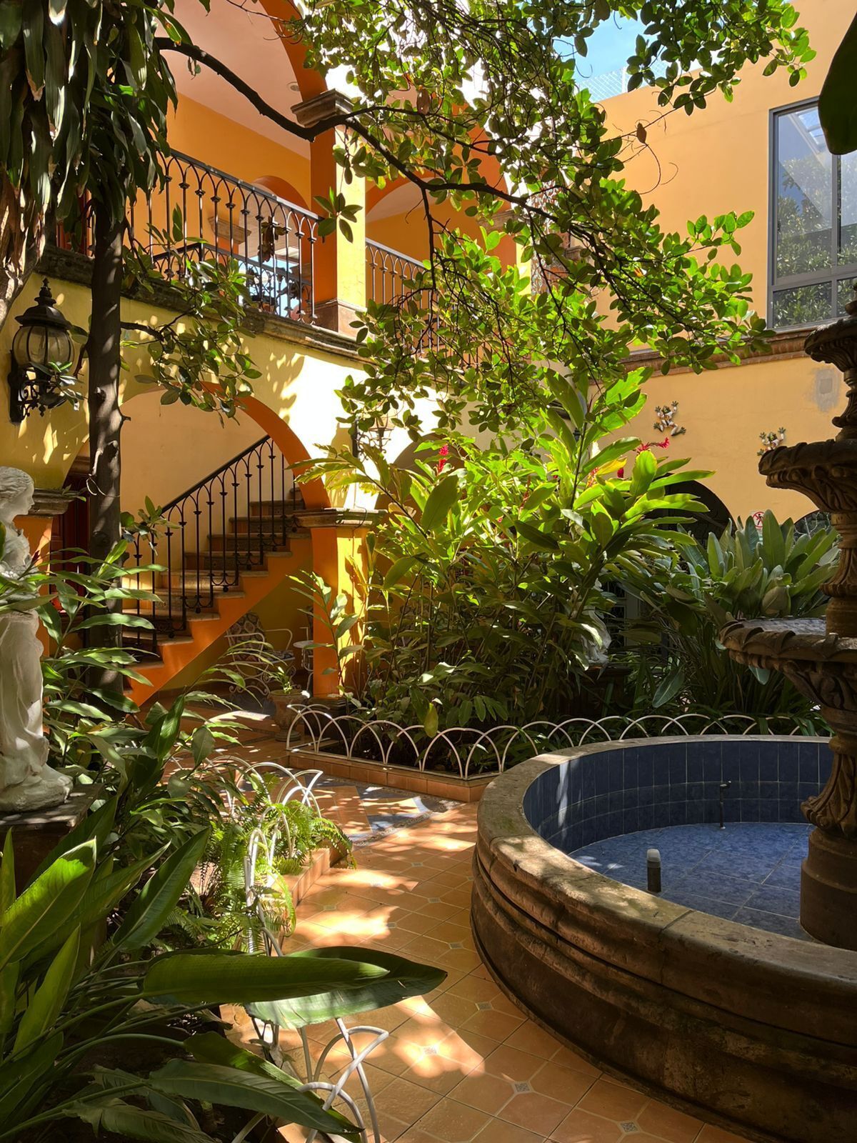 Terraza o patio