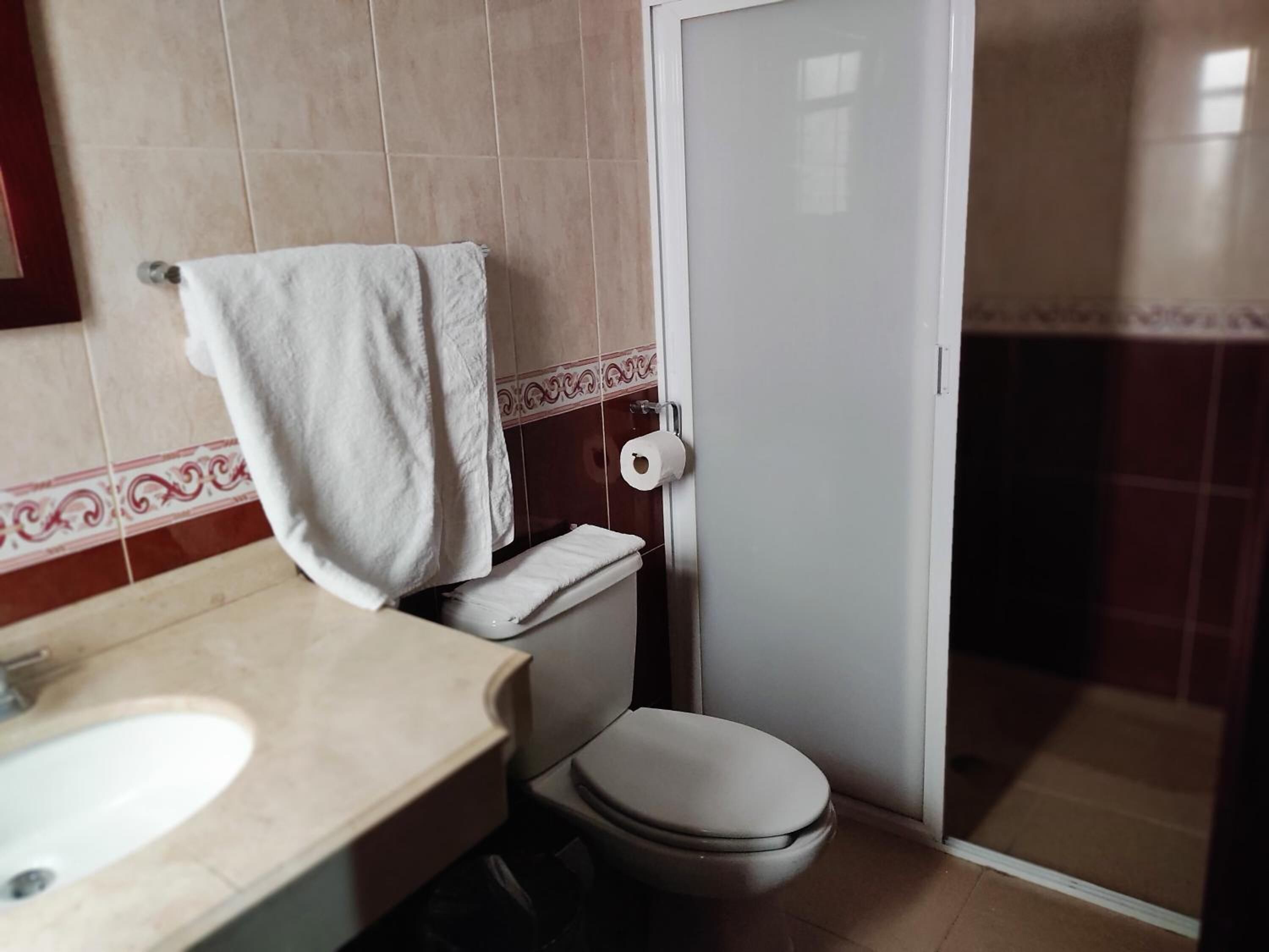 Un baño pequeño con inodoro, lavamanos y zona de ducha.