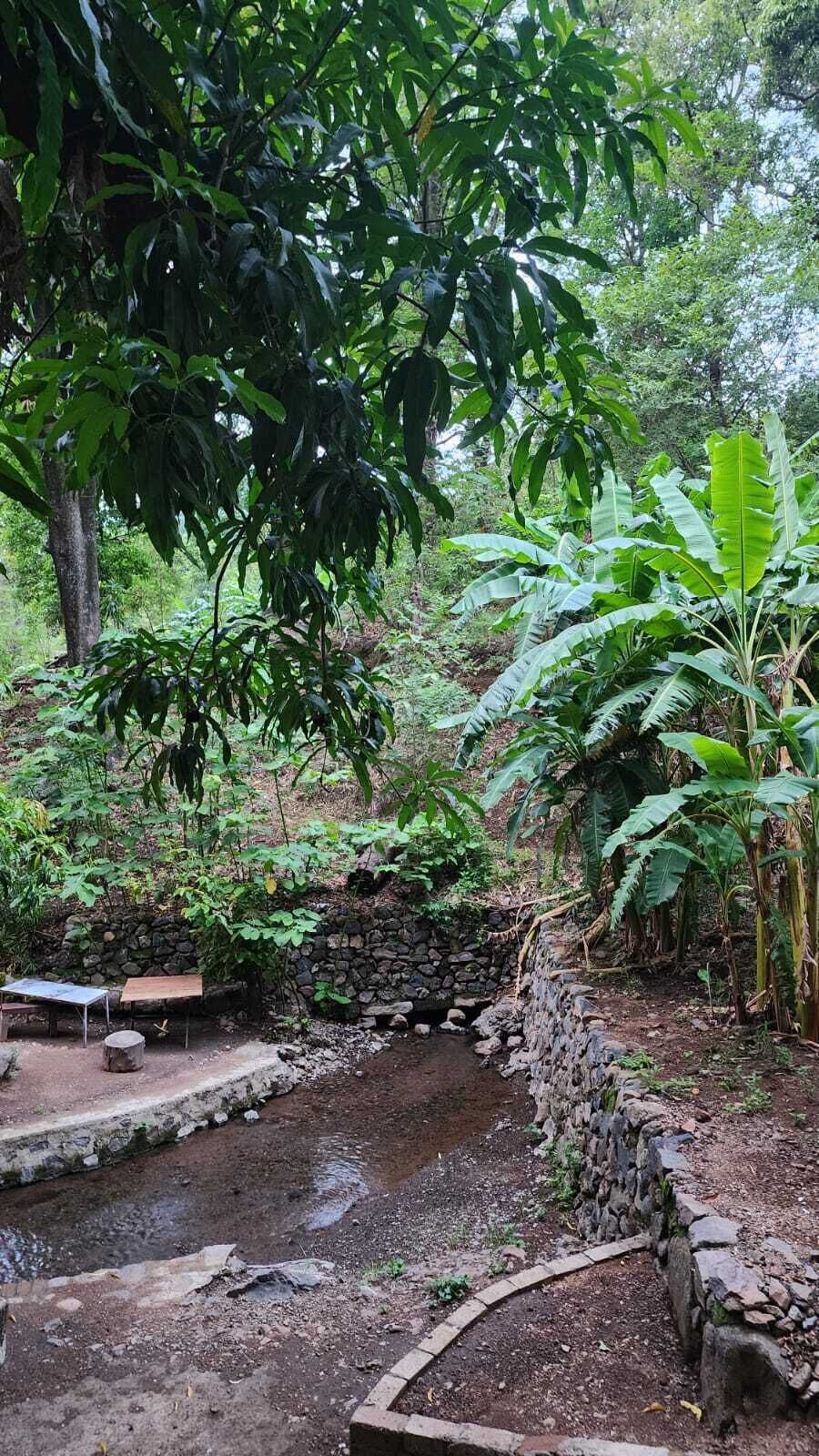 A stone bridge over a small stream, surrounded by lush greenery and a stone wall.