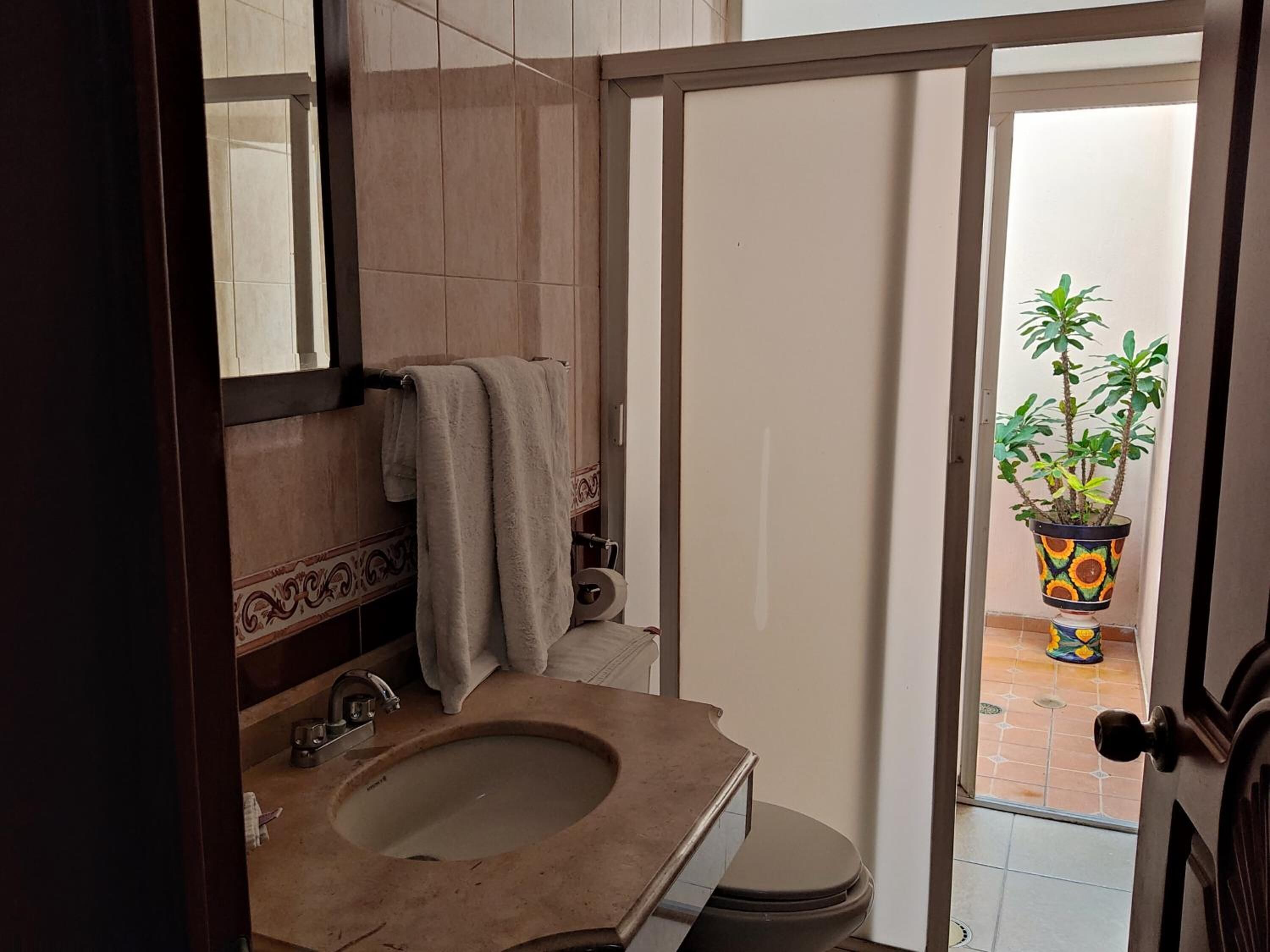 A bathroom with a sink, towel rack, and toilet. There is a potted plant outside the door.