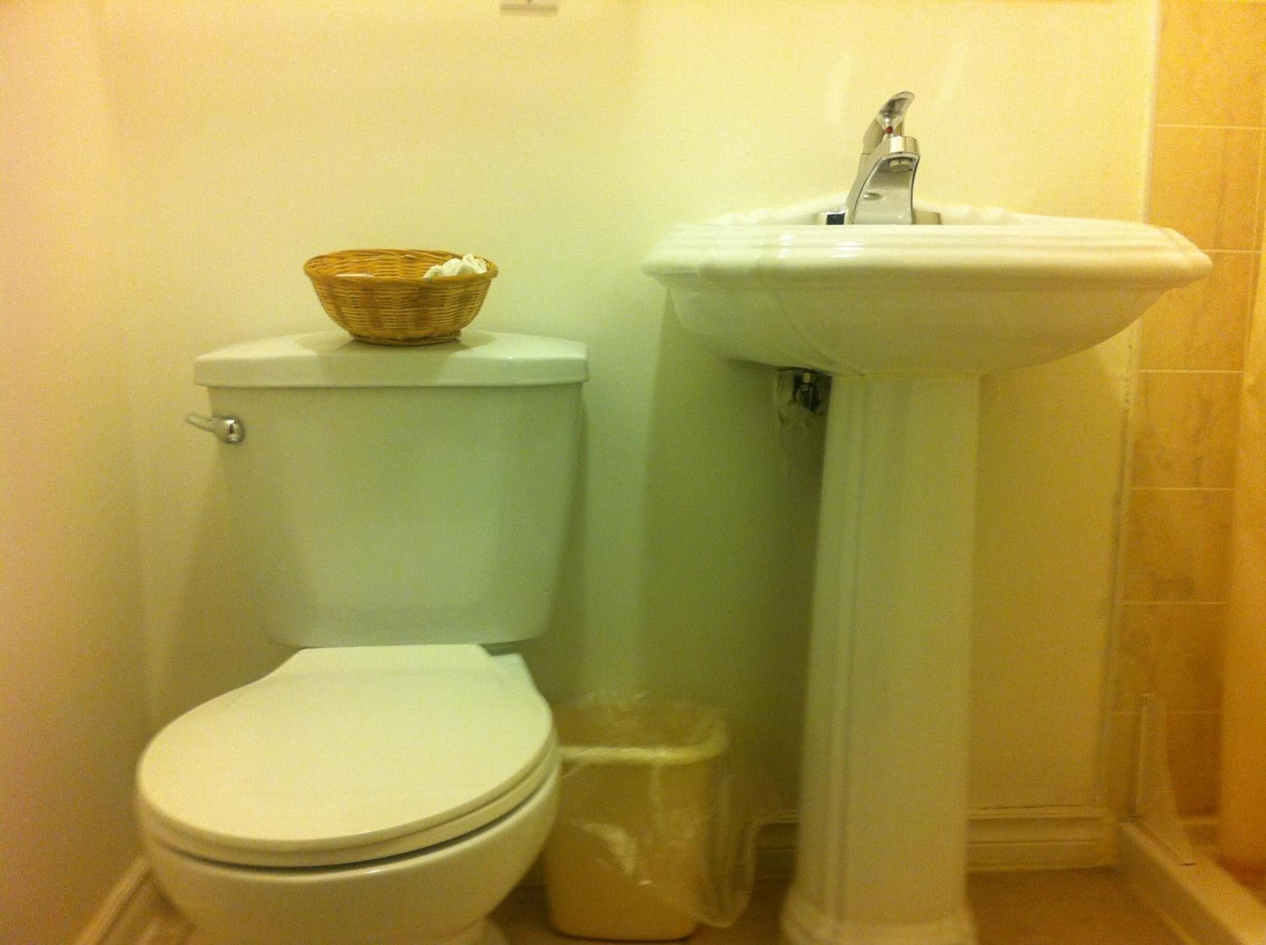 Un baño con inodoro, lavamanos y cubo de basura.