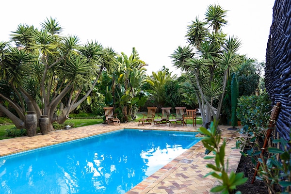 Outdoor pool, pool umbrellas, sun loungers