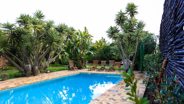 Una piscina rodeada de palmeras y un patio de ladrillo con sillas de madera.