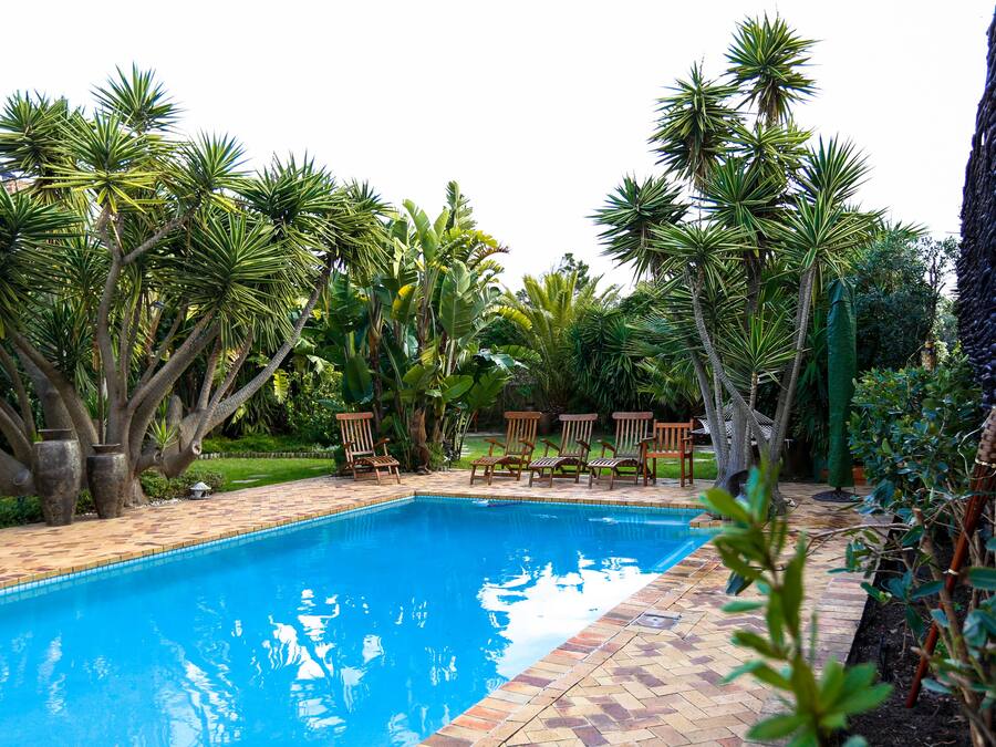 Outdoor pool, pool umbrellas, sun loungers