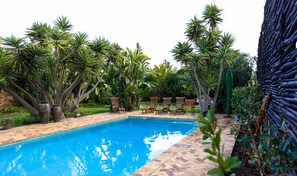 Outdoor pool, pool umbrellas, pool loungers - Secret Garden Guesthouse (Cape Town)