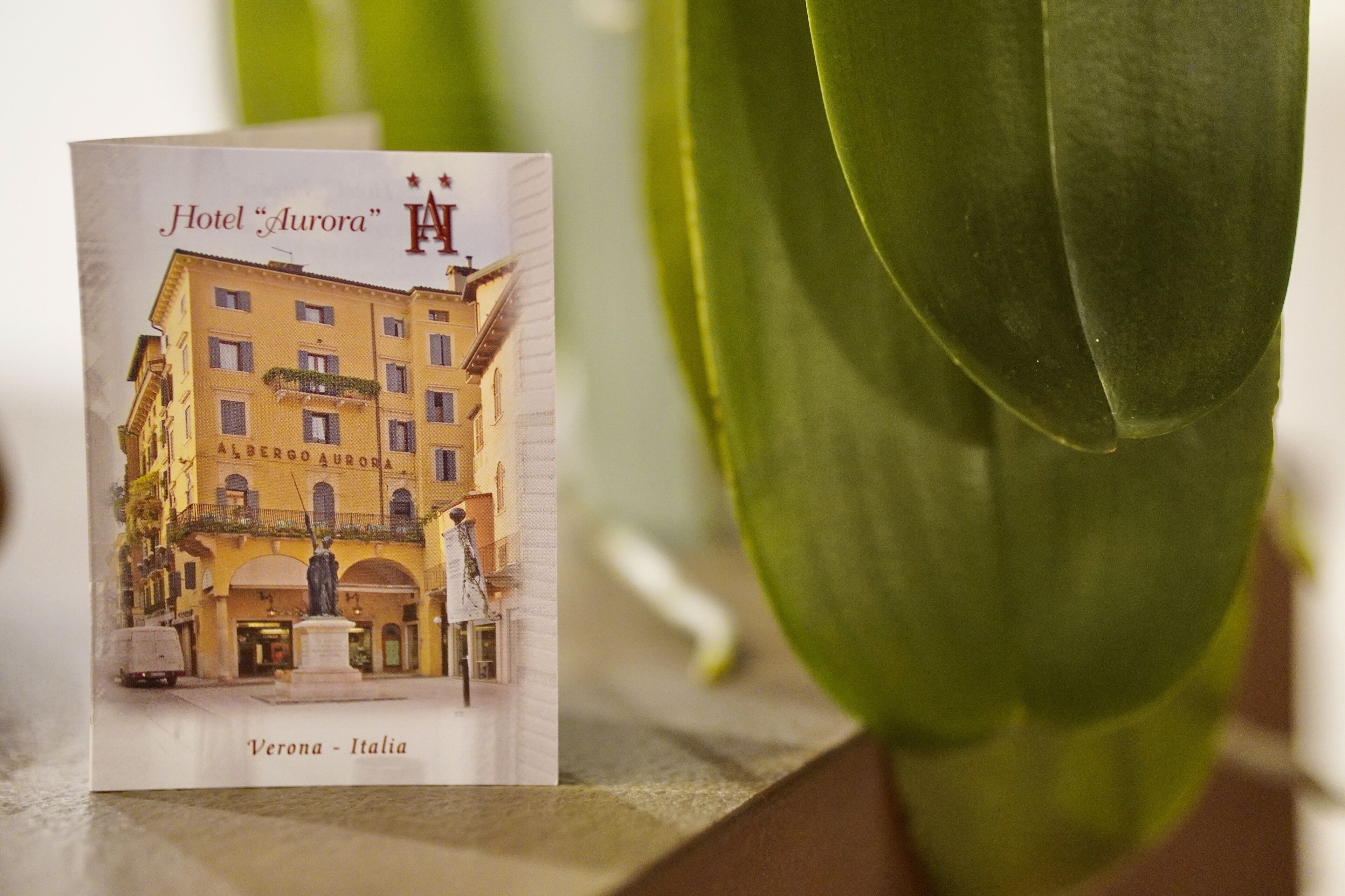 Foto - Hotel Aurora