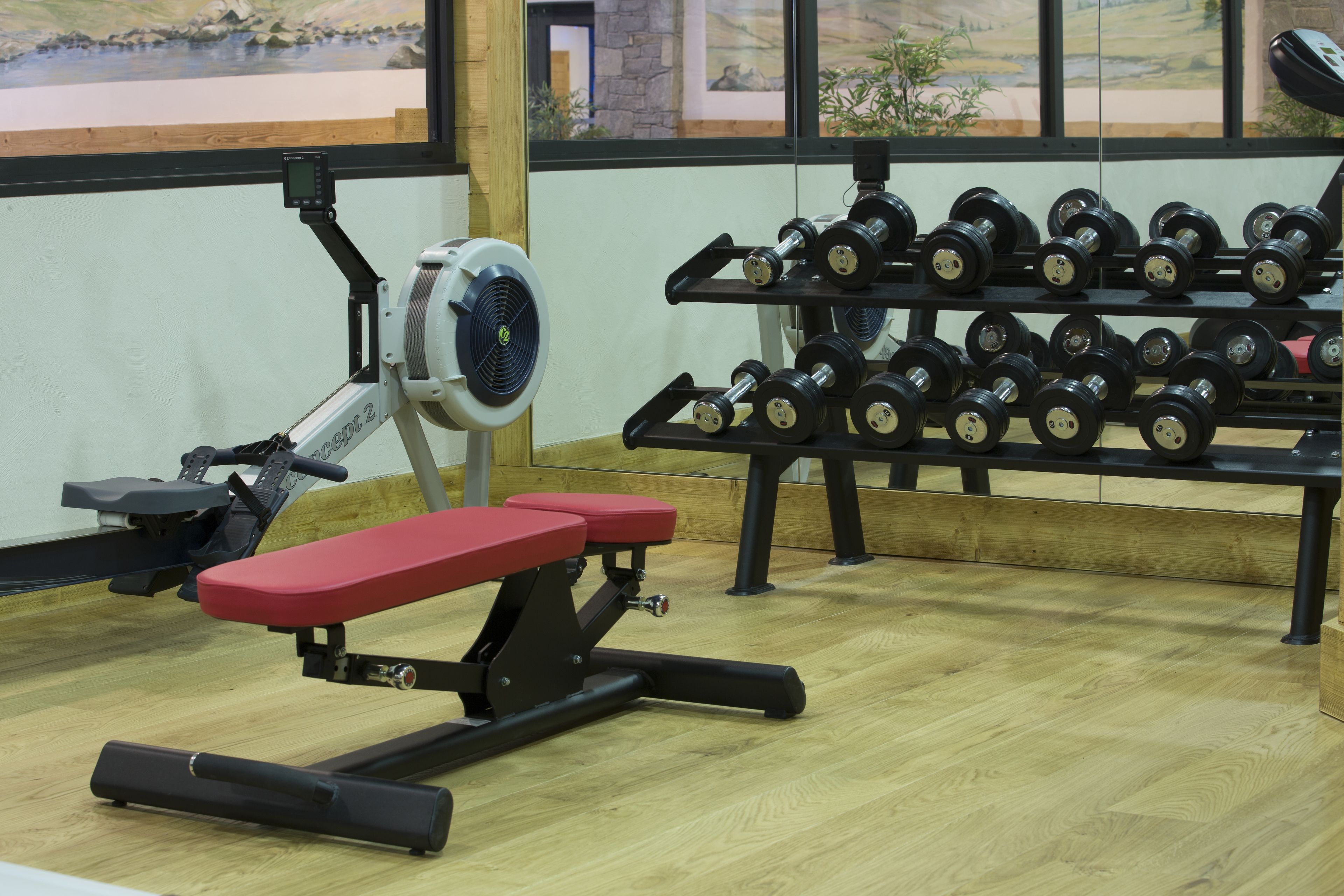 A gym with a rowing machine, a bench, and a rack of dumbbells.