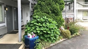 Un bâtiment devant lequel se trouve une grande haie verdoyante et bien entretenue.