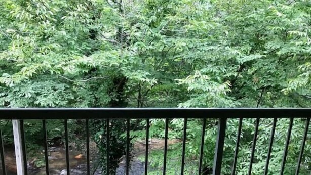 Une vue depuis un balcon doté d’une rambarde en métal, donnant sur une forêt verdoyante et luxuriante, et sur un ruisseau rocheux en contrebas.