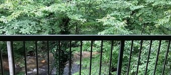 フォー シーズンズ イン