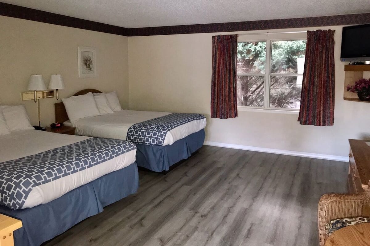 Standard Double Room, 2 Katil Ratu (Queen) (Pet-friendly) | Ruang kerja komputer riba, langsir/tirai gelap terus, Wi-fi percuma