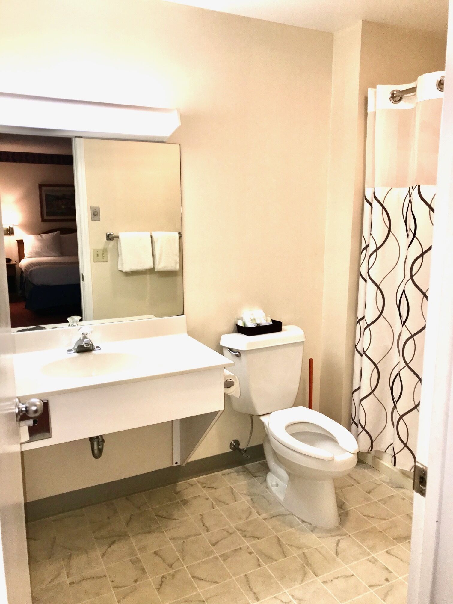 Une salle de bain équipée de toilettes, d’un lavabo et d’un rideau de douche.