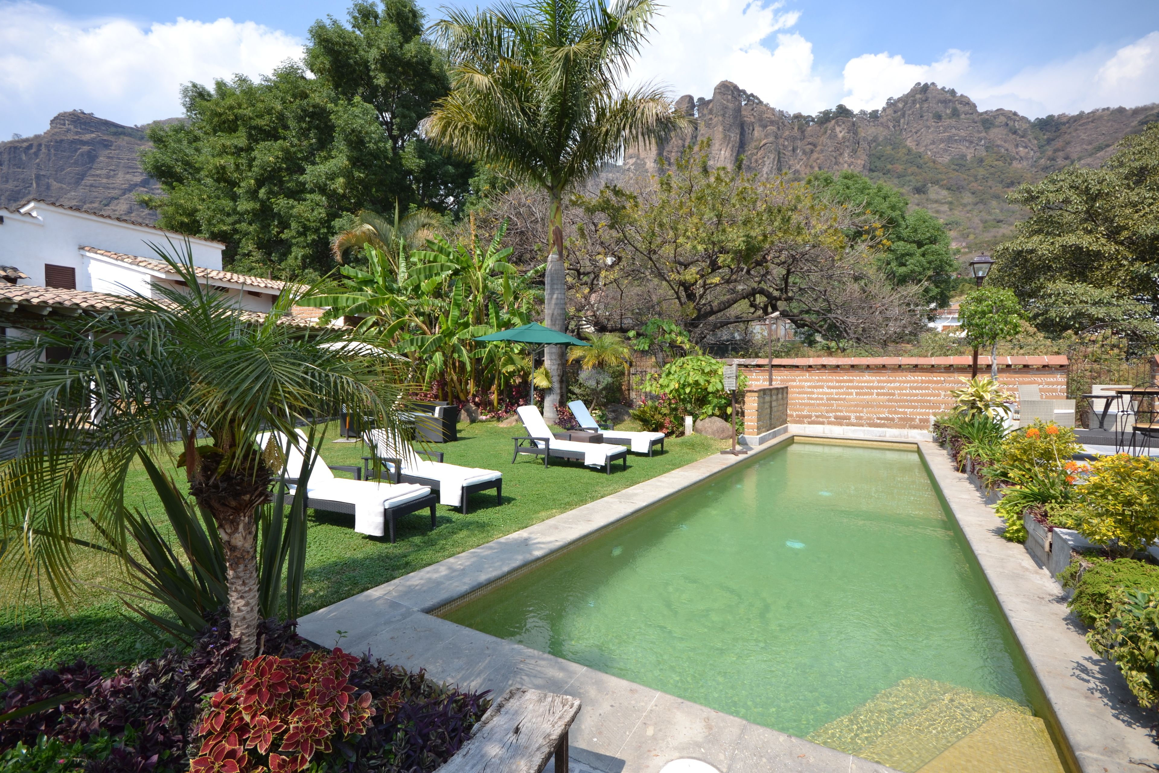 A swimming pool with lounge chairs, surrounded by greenery and a mountain backdrop.