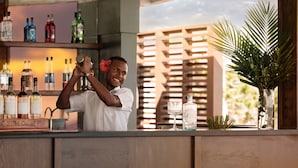 Een bartender achter een bar, vol met flessen en met een decoratieve plant.