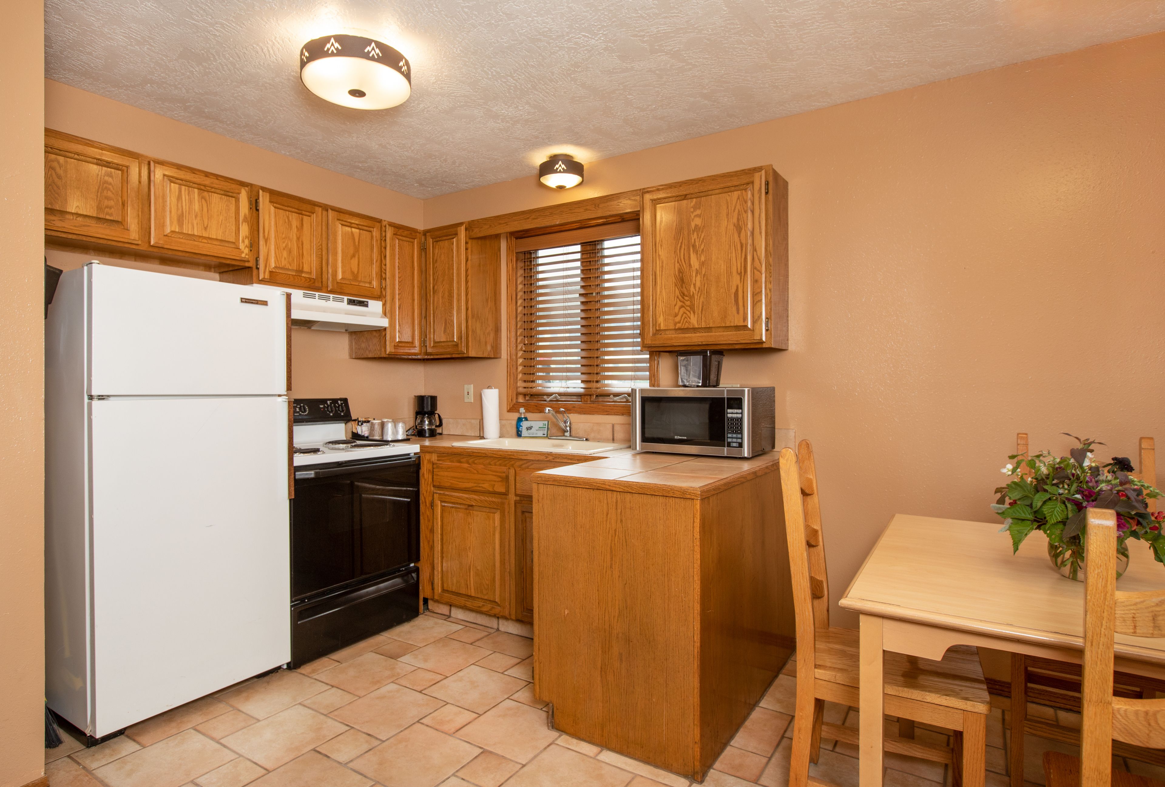 Room, 1 King Bed, Kitchen, Mountain View | Private kitchen