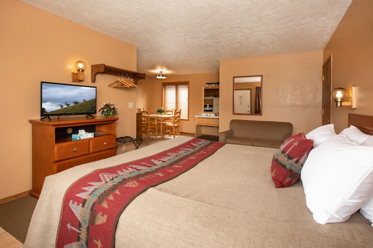 Une chambre d’hôtel avec un lit, une télévision, un bureau et une chaise.