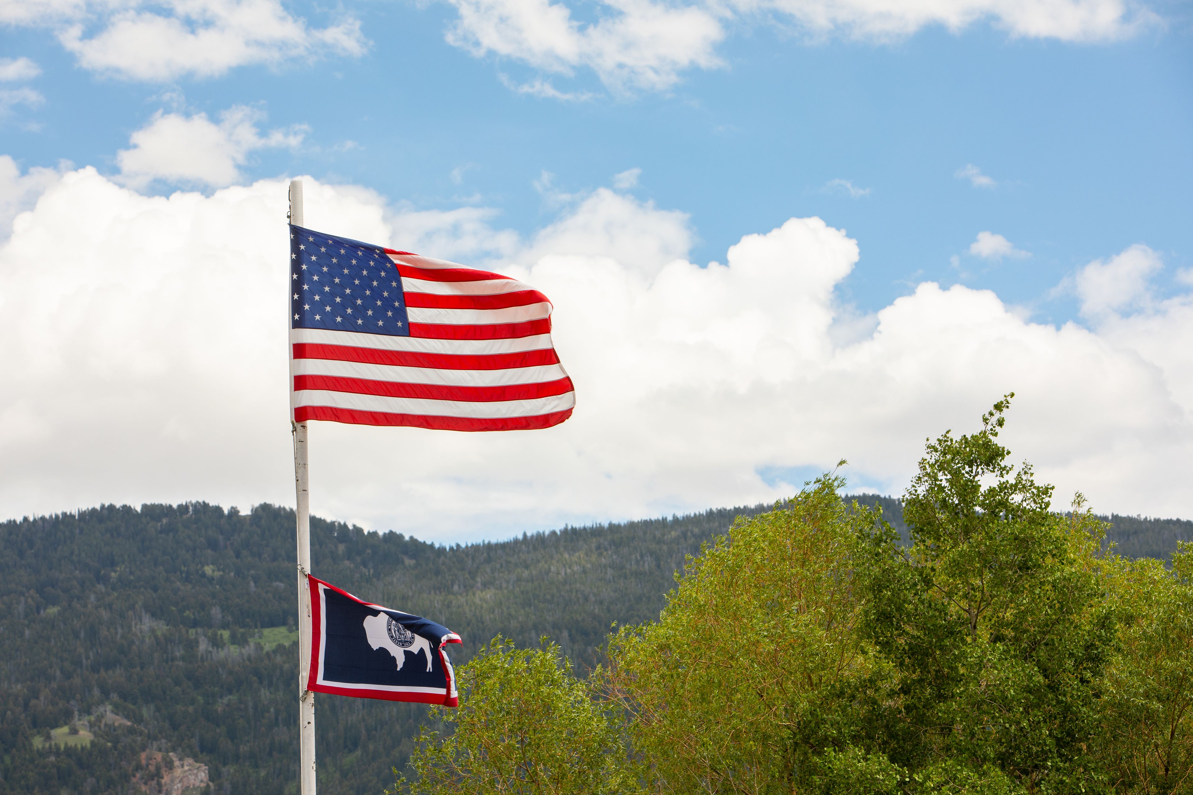 An American flag on a flagpole with a state emblem below it, set against a backdrop of a forested mountain and a partly cloudy sky.