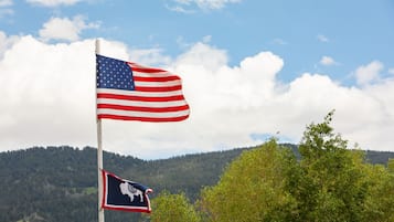 An American flag on a flagpole with a state emblem below it, set against a backdrop of a forested mountain and a partly cloudy sky.