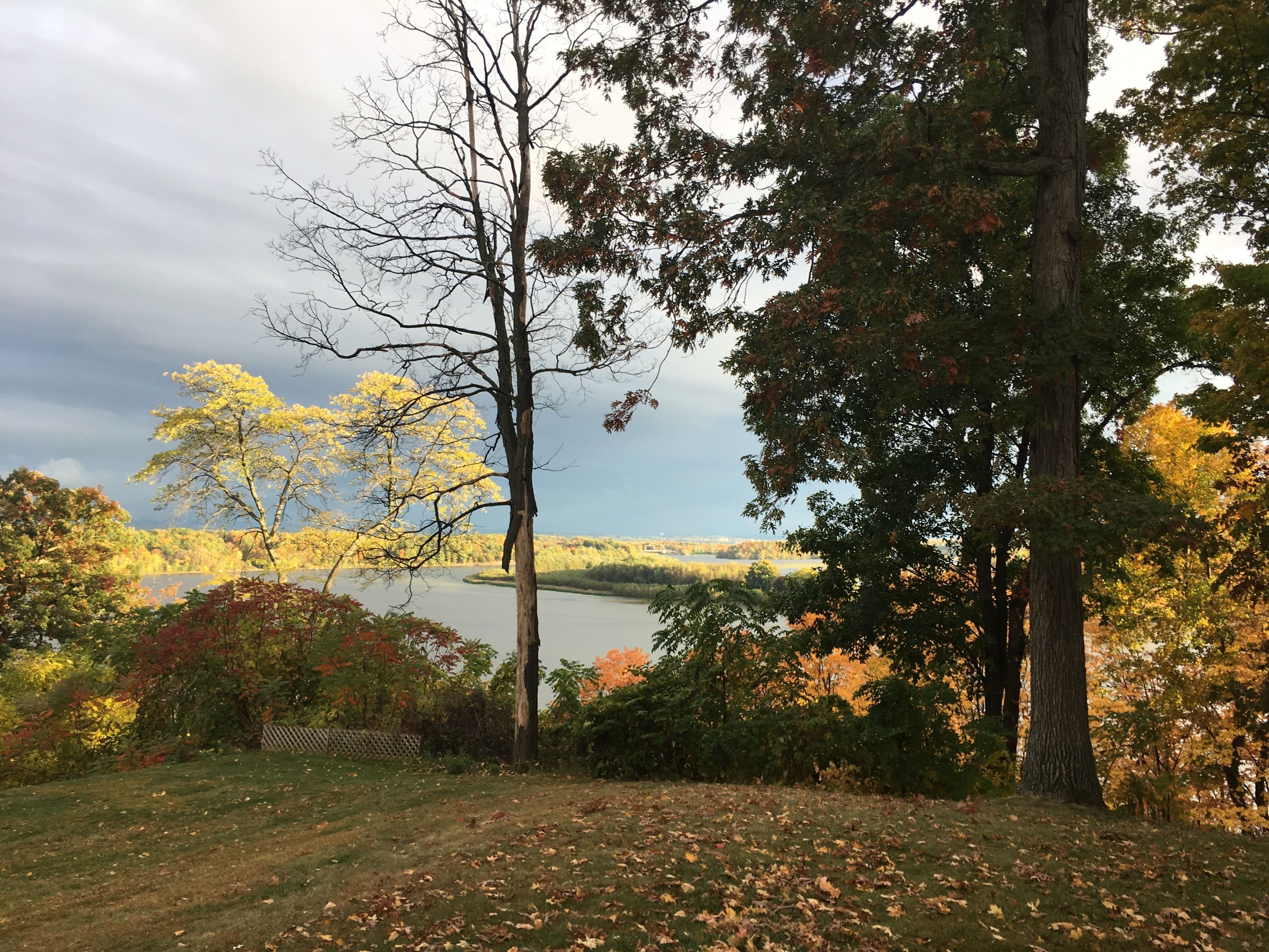 A natural landscape with trees and a lake.