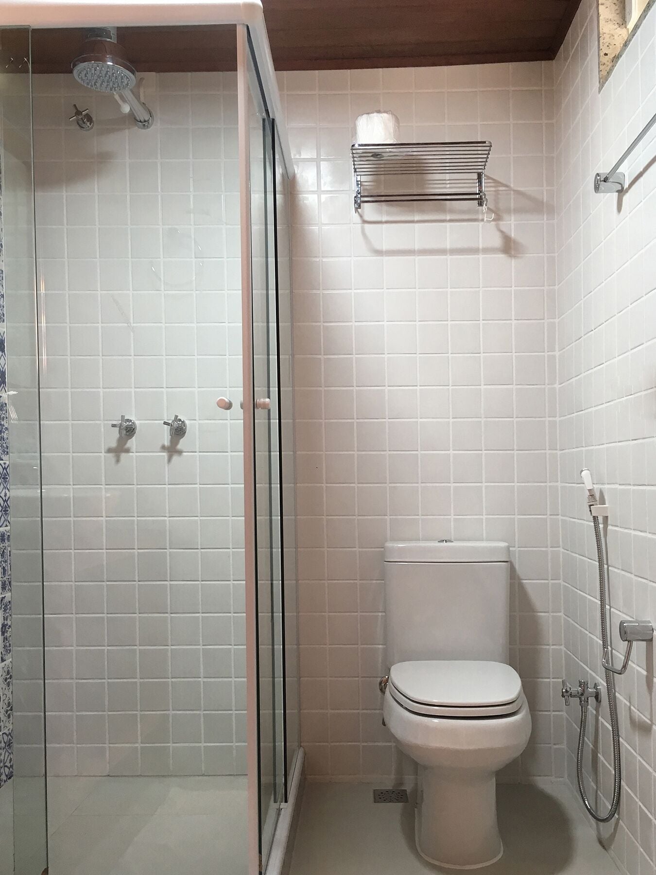 A bathroom with a glass-enclosed shower, a toilet, and a towel rack.
