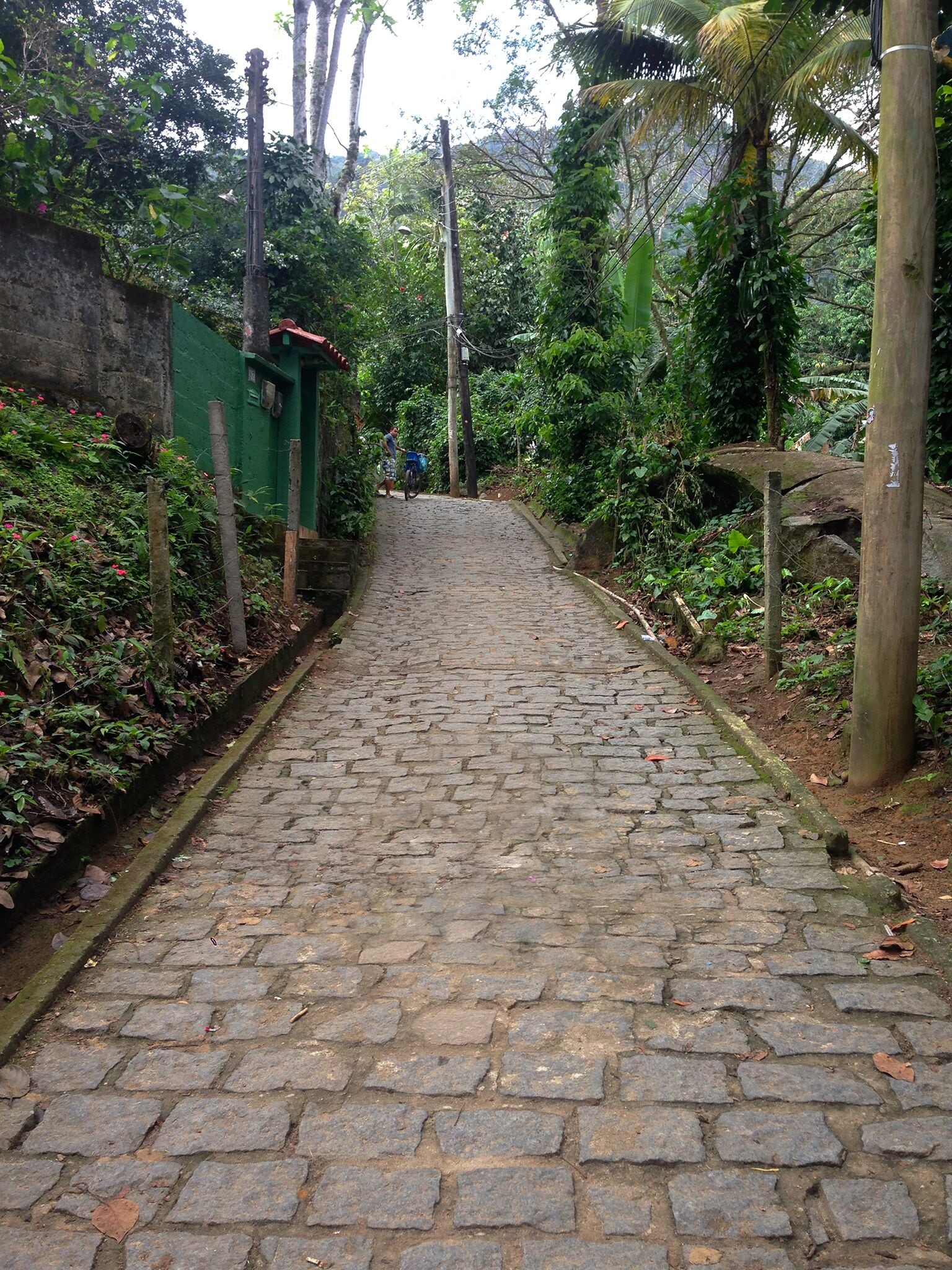 Un sendero adoquinado que asciende por un área verde y exuberante, con vegetación densa y una cerca de madera a un lado.