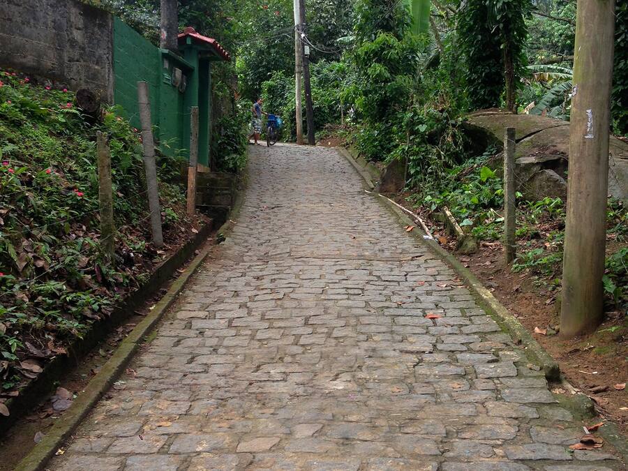 A cobblestone path leading uphill through a lush, green area with dense foliage and a wooden fence on one side.