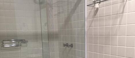 Un baño con ducha envuelta en vidrio, inodoro y toallero.