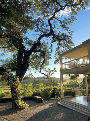 A tree with white flowers, a covered porch, and a view of a green landscape.
